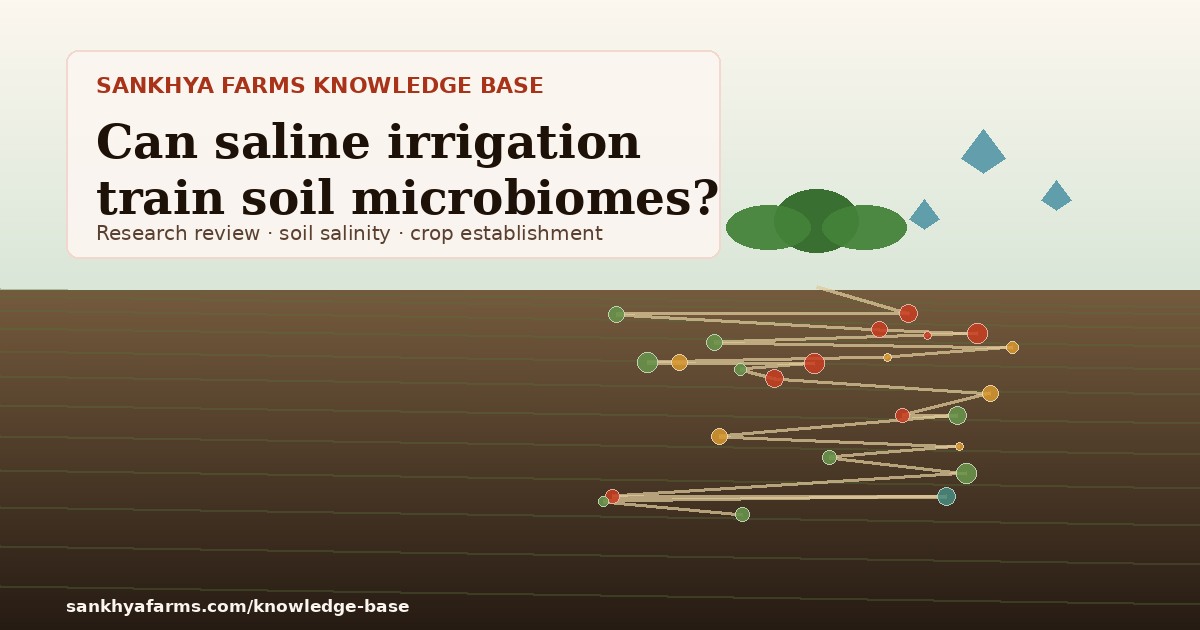 Soil roots, microbes and saline irrigation